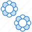 flowers, flower, nature, beautiful, blossom, background, floral, plant, bouquet, spring, decoration 