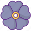geranium, flower, nature, beautiful, blossom, background, floral, plant, bouquet, spring, decoration 