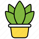 plant pot, plant, nature, pot, leaf, green, gardening, tree, garden, decorative-plant