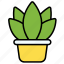 plant pot, plant, nature, pot, leaf, green, gardening, tree, garden, decorative-plant 