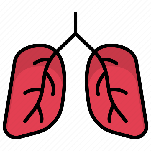Lungs, organ, medical, anatomy, virus, breath, healthcare icon - Download on Iconfinder