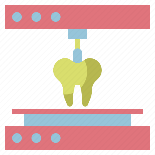 Clear, denta, dental, dentist, medical, model, molar icon - Download on Iconfinder