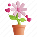 flower pot, plant, gardening, botanical