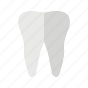 tooth, teeth, dental, healthcare