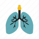 lungs, medical, anatomy, health