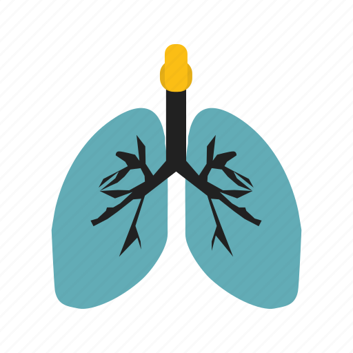 Lungs, medical, anatomy, health icon - Download on Iconfinder