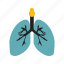 lungs, medical, anatomy, health 