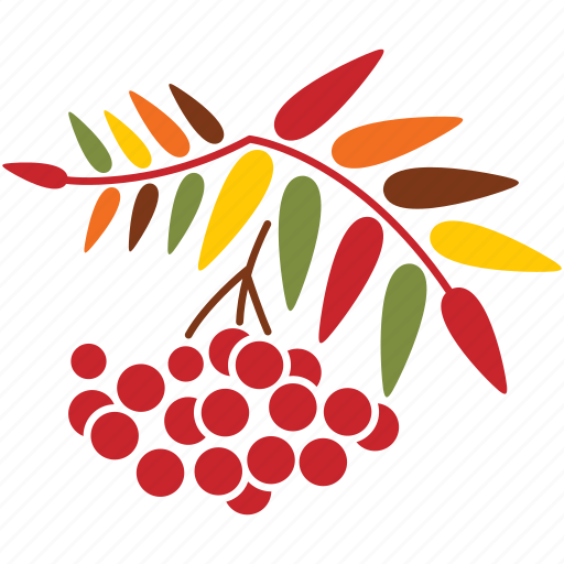 Autumn, nature, plant, rowan, season, leaves, tree icon - Download on Iconfinder