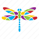 dragonfly, insect, nature, season, summer