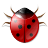 bug, ladybug, ecology, silhouette, nature, eco, ladybird, environment, insect, fauna, lady, lady-cow, lady-beetle