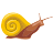 slow, escargot, speed, slowly, snail, mail