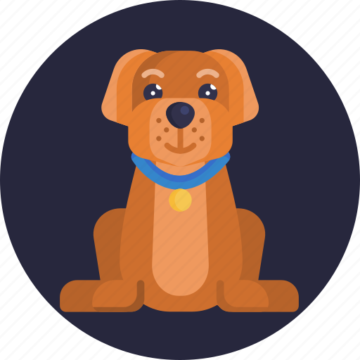 Animal, protection, healthcare, pet, safety, dog, care icon - Download on Iconfinder