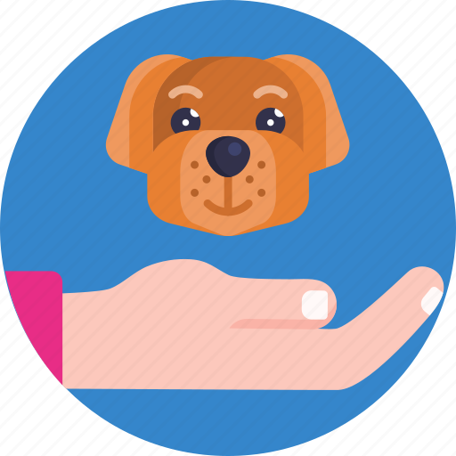 Animal, protection, healthcare, pet, safety, vaccination, dog icon - Download on Iconfinder
