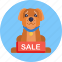animal, protection, healthcare, pet, safety, sale