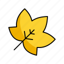 leaf, nature, plant, green, ecology, tree, natural, fresh, garden, agriculture