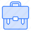 busiessbag, business bag, briefcase, suitcase, office-bag, documents-bag, business, business-case, money 