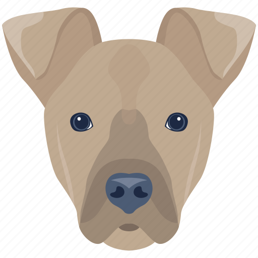 Dog, hound, canine, animal, pet icon - Download on Iconfinder