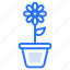 flower, pots 