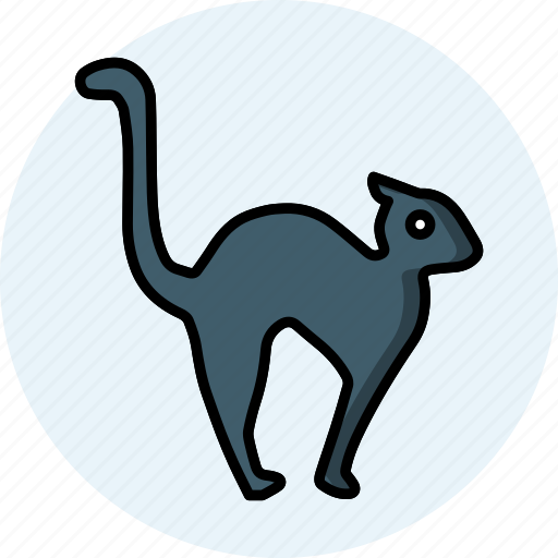 Cat, animal, pet, feline, kitty, spooky, nature icon - Download on Iconfinder