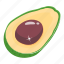 avocado, fruit, food, mexican fruit, aguacate 