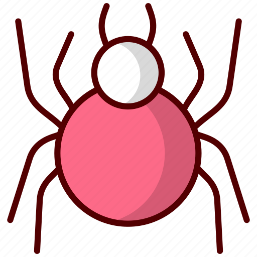 Spider, halloween, insect, scary, bug, horror, web icon - Download on Iconfinder