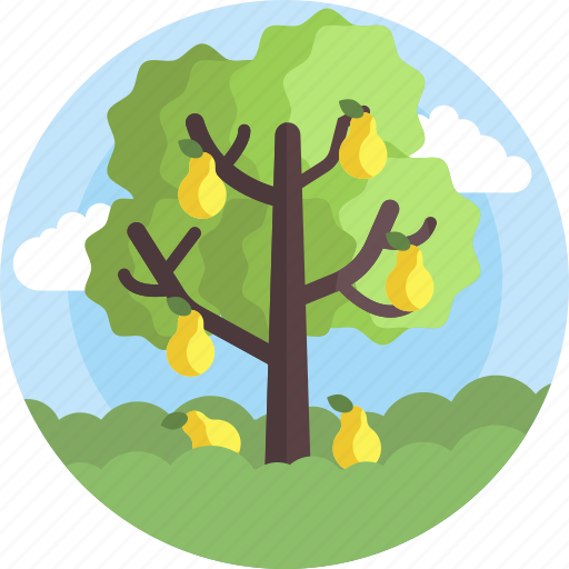 Nature, tree, fruit, green, environment, garden icon - Download on Iconfinder