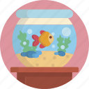 pet, fish, aquarium, water, gold fish 