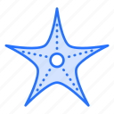 star, fish