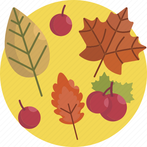 Thanksgiving, autum, maple, leaves, autumn, leaf, fall icon - Download on Iconfinder