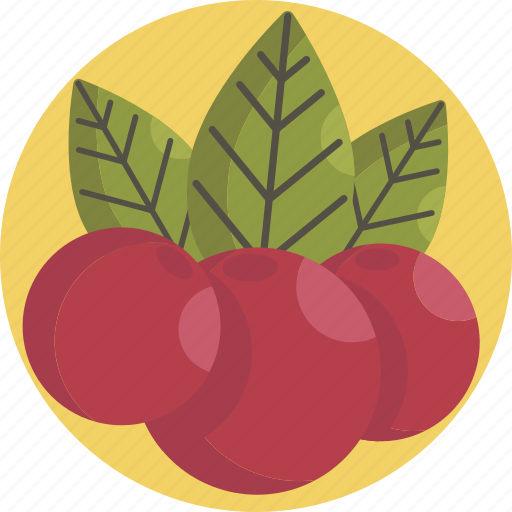 Thanksgiving, cherries, autumn, cherry, cranberry icon - Download on Iconfinder