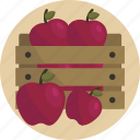 thanksgiving, apple fruits, fruit, crate, fruits