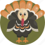 thanksgiving, turkey, holiday, animal, bird, chicken 