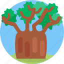 trees, wood, nature, forest, baobab
