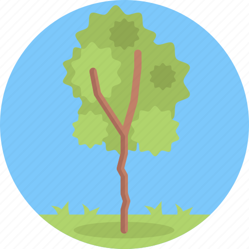 Trees, wood, nature, forest icon - Download on Iconfinder