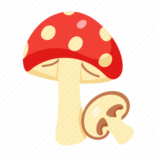 Toadstools, mushrooms, fungi, fungus, ingredient icon - Download on Iconfinder