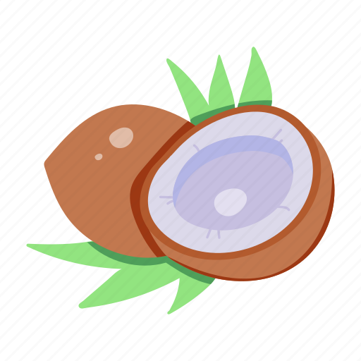 Dry fruit, coconut, fruit, food, dry coconut icon - Download on Iconfinder