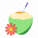 tropical drink, coconut juice, coconut milk, coconut water, coconut