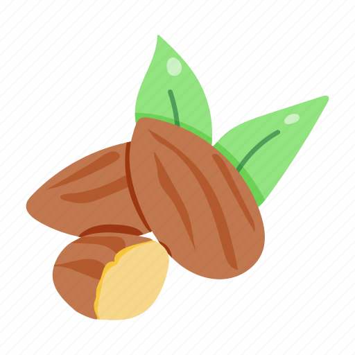 Prunus dulcis, almonds, food, dry fruit, nuts icon - Download on Iconfinder