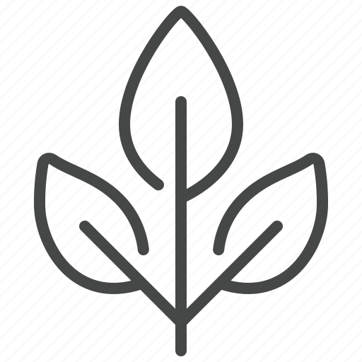 Leaf, branch, organic, natural, three icon - Download on Iconfinder