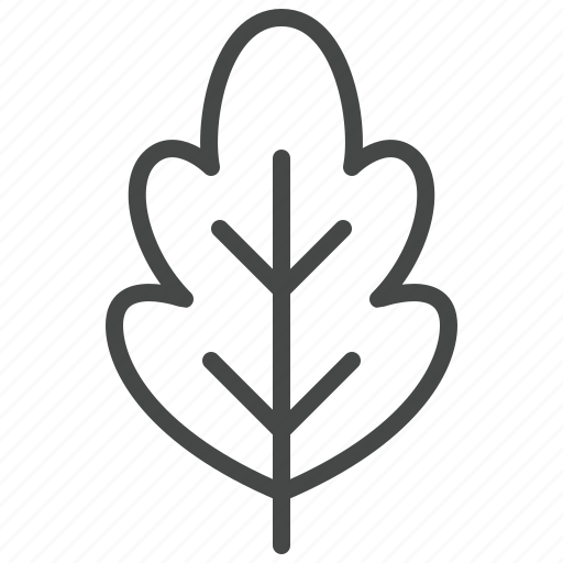 Oak, tree, leaf, natural, ecology, bio icon - Download on Iconfinder