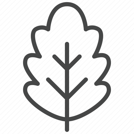Oak, tree, leaf, natural, ecology, bio icon - Download on Iconfinder