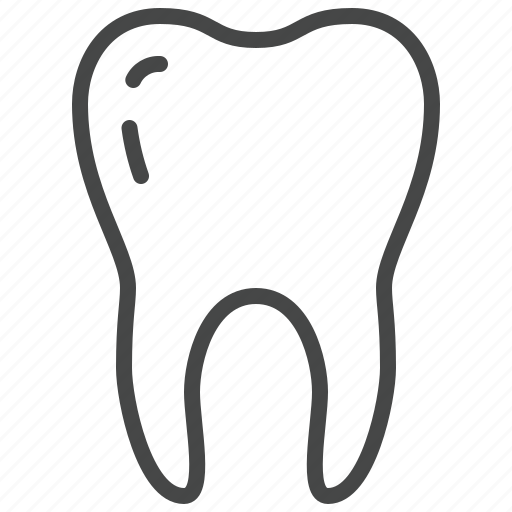 Tooth, teeth, dentistry, stomatology, human icon - Download on Iconfinder