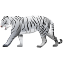tiger, white