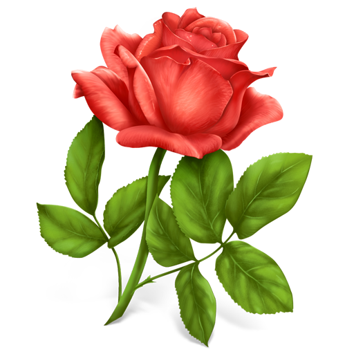 Flower, plant, rose icon - Free download on Iconfinder
