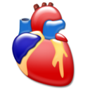 cardiology, heart, organ
