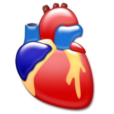 Cardiology, heart, organ icon - Free download on Iconfinder
