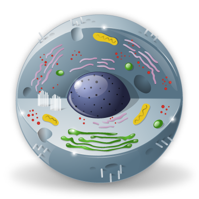 Biology icon - Free download on Iconfinder
