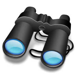 sort, binoculars, search 