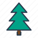christmas, pine, tree, winter