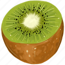 half, kiwi, kiwifruit, chinese gooseberry, nutrition, fruit, healthy
